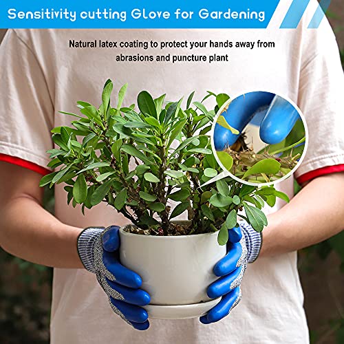 Winusual Cut Resistant Gloves Food Grade Level 5 Protection,Safety Latex Cutting Gloves For Oyster Shucking,Meat Cutting Blue Large #TOP3