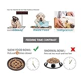 25Kg Sonnenblumenkerne Vogelfutter Fettfutter Winterfutter gestreift - 5