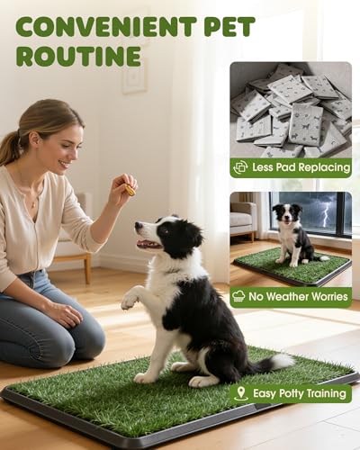 Image of Powools Grass Pad for Dogs Potty - 3-Layer Reusable Dog Grass Pad with Tray, Washable Artificial Grasses Dog Potty Tray with Drainage Holes, Indoor & Outdoor Grass Pee Pad for Dogs, 30 inch x 20 inch