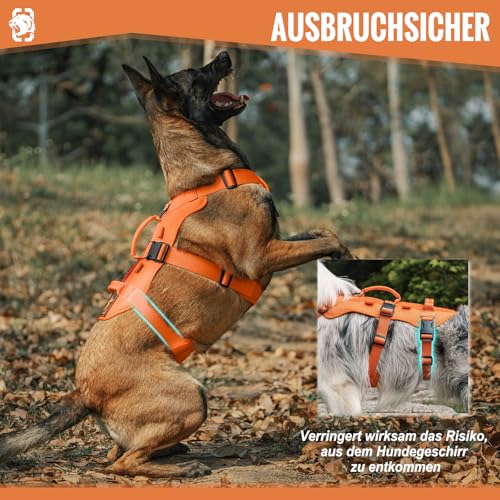 OneTigris Hundegeschirr, T-Bone Taktisches Geschirr mit 2 Griff Ausbruchsicher Einstellbar Brustgeschirr für Hunde Jagd Wandern Trainierung Spaziergang Outdoor-Aktivitäten (Orange, M)