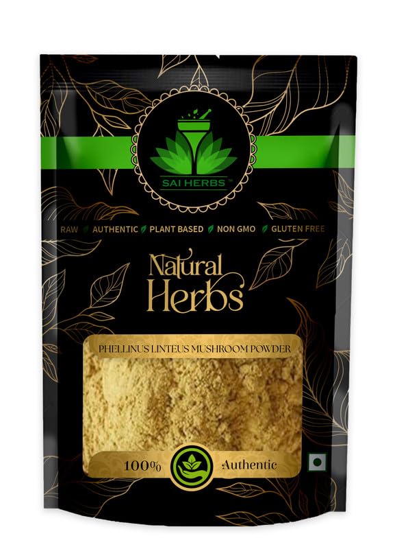 SAI HERBS Phellinus Linteus Mushroom Powder - Pure & Natural (500 Grams) (B0C5N8GJ54) Amazon Price History, Amazon Price Tracker