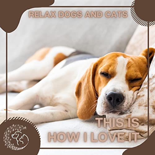 This is how I love it by Relax Dogs and Cats on Amazon Music Unlimited