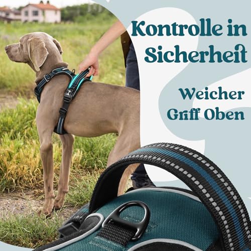 rabbitgoo Hundegeschirr Grosse Hunde, Verstellbare Geschirr Hund ohne Zug & Würgen, Anti Zug hundegeschirr mit Griff, weich Gepolsterte Reflektierende Brustgeschirr, Dunkelgrün L