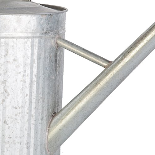 Panacea 086082 Watering Can #TOP3