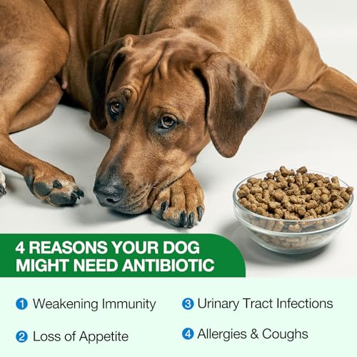 Antibiotika für Hunde Natürliche, Sanfte Reinigung & Unterstützung Der Hautbarriere, Empfindliche Hundehaut, Lindert Hautallergien Juckreiz, Husten, Harnwegsinfektion, Stärkt das Immunsystem, 60ML