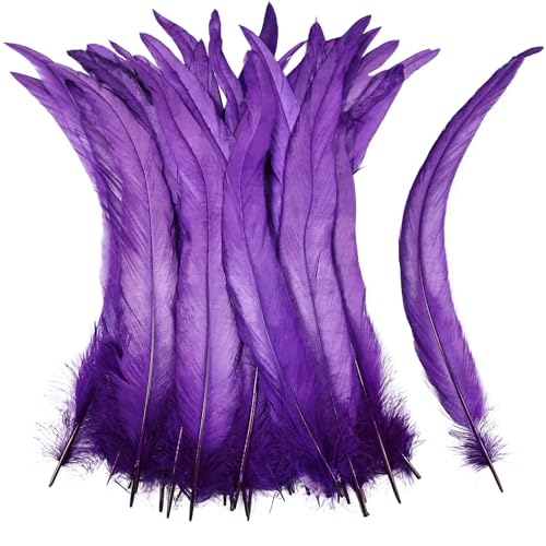 iHUFeather Natural Rooster Tail Feathers 50pcs 10-12inch Long Rooster Coque Tail Feathers Bulk for DIY Crafts Costume and Halloween Party Performances Decoration(Purple)