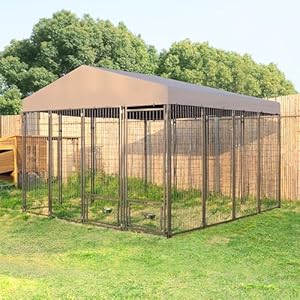 Large Dog House with Roof