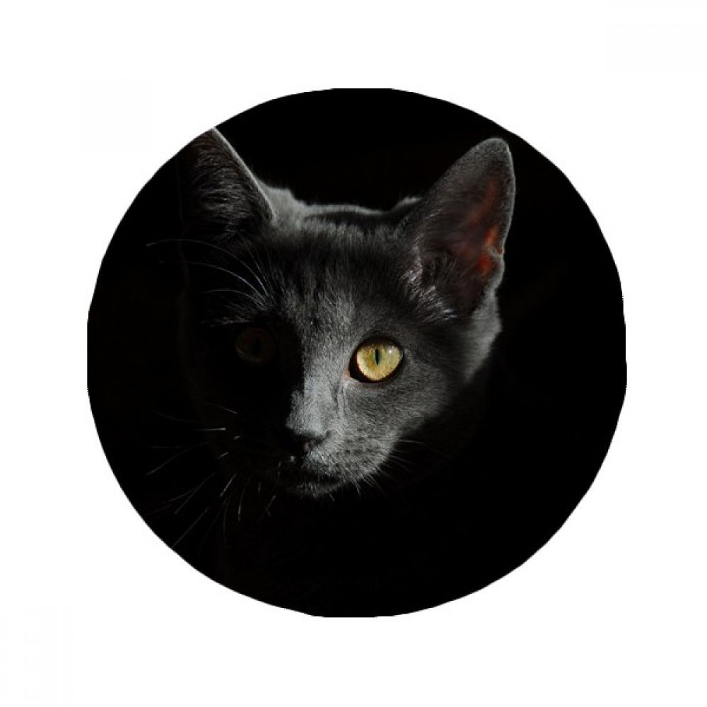Tapis de sol chat noir rond pour salle de bain et entrée chaleureuse