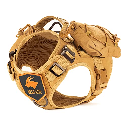 The Best Dog Vests for Hunting (High Visibility and Safety) AZ Animals