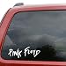 Decalorize STICKY DUDE_Pink Floyd Rock Band Car Window Vinyl Decal Sticker- 6" Wide White Color
