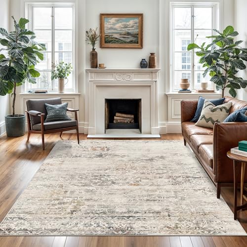 Soalmost 8x10 Area Rugs for Living Room