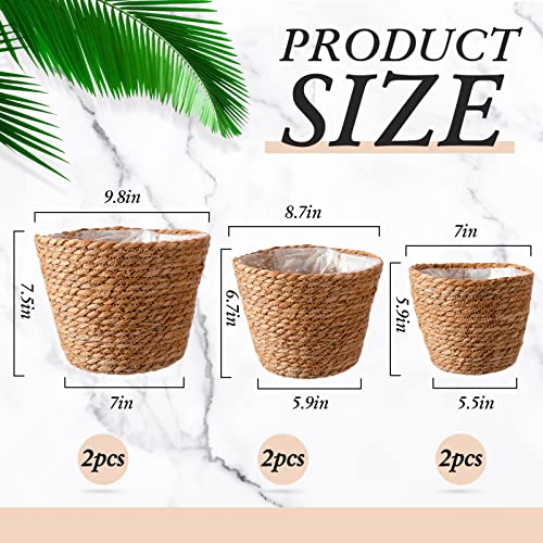 Set Of 6 Seagrass Planter Basket Hand Woven Plant Flower Pots Cover With Plastic Liners Seagrass Plant Pot Basket Rustic Farmhouse Plant Pot Containers For Indoor Outdoor Home Decor (Brown) #TOP1