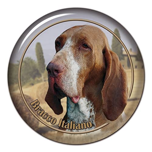 Pangtyus Sticker Chien Bracco Italiano chienanimal décalcomanies Voiture Autocollant PVC décalcomanie étanche Moto pour Pare-Chocs arrière fenêtre Ordinateur Portable 13CM/15CM/17CM Cover