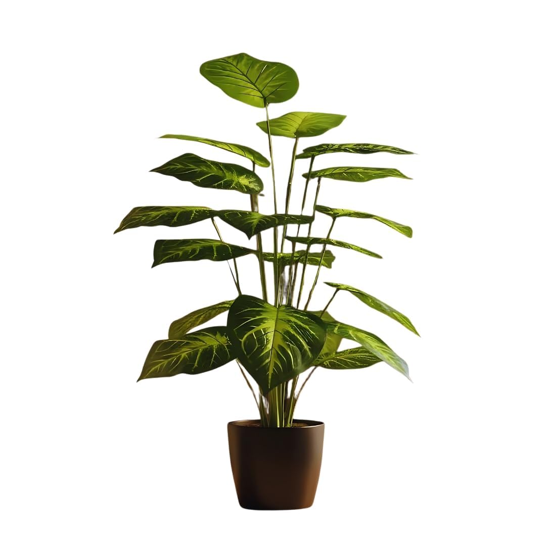 Buy De Gardenia Artificial Dieffenbachia Floor Plant with Pot
