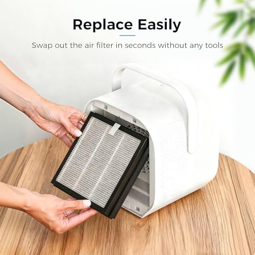 Image of 2 Pack DUO Replacement Filter for Pure Enrichment PureZone DUO Air Purifier | 3-in-1 True HEPA High-Efficiency Activated Carbon Filter for Home Large Room, Part No. PEAIRPLG