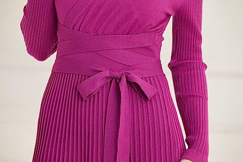 Image of RanRui Womens Winter Fall Pleated Knitted Fit and Flare Long Sleeve Sweater Dress