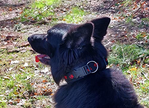 BUDDYPACK | Pfötchen-Hundehalsband Extra-Breit mit Neopren gepolstert | Größe XXS-3XL (4-6 cm breit) | Verstellbar (M (44-49 cm), Rot auf Schwarz)