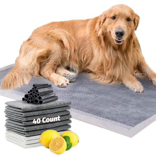 Charcoal Pet Pee Pads, Activated Carbon Odor Control Super Absorbent Leak-Proof Dog Potty Training Pads, Disposable Urine Bed Pads for Dog Cat Rabbit Hamster, Lemon Scent (L 23.6''×23.6''(40Count))