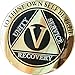 RecoveryChip 5 Year AA Medallion Elegant Black Gold Silver Bi-Plated Alcoholics Anonymous Chip