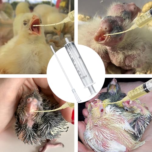 11 Stück Spritze Mit Schlauch Set,Spritzen 10ml,Tauben Zubehör,Jungvögel Füttern,Feeder Futter,Handfütterungswerkzeug für Baby Vögel Und Papageien,Aliment,Milch,Medikamente,Wasser,Einfach Zu Reinigen