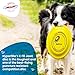 Hyperflite K-10 SofFlite Discs • for Dogs Over 16