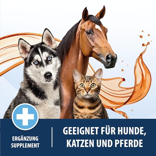 500ml Lachsöl für Hunde, Katzen und Pferde | Reich an Omega 3 & 6 Fettsäuren - 100% Natürliches Fischöl im 0,5 Liter Gebinde