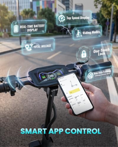 Joyful Rider Dual Motor Electric Scooter
