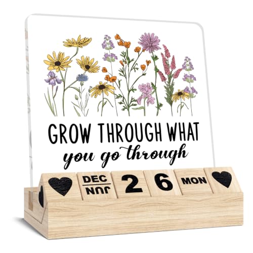 Inspirational Encouragement Desk Decor Gifts for Women Men Boy Girl Firends