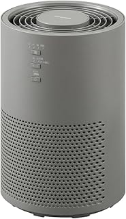 アイリスオーヤマ 空気清浄機 静音 小型 自動モード 省エネ ペット 脱臭 花粉 ホコリ PM2.5 集じん ウイルス アレルギー フィルター交換ランプ付き 10畳 AAP-S20C-H グレー