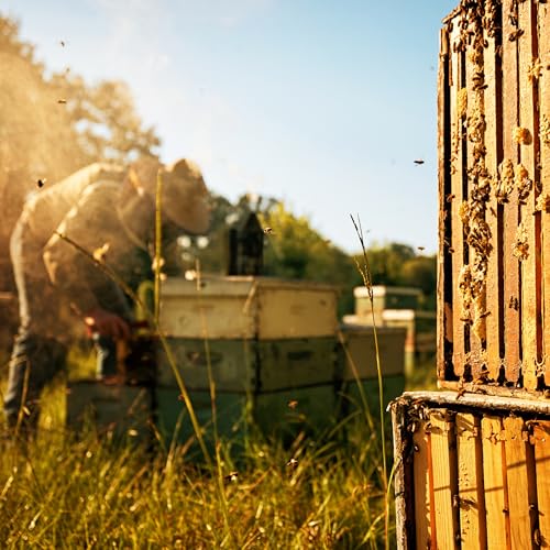 Image of Local Hive New England Raw & Unfiltered - 16 oz | 100% Pure U.S. Honey | Natural Sweetener Sourced from American Bees & Beekeepers | Delicate Smooth Flavor | Ideal for Tea, Baking & Cooking