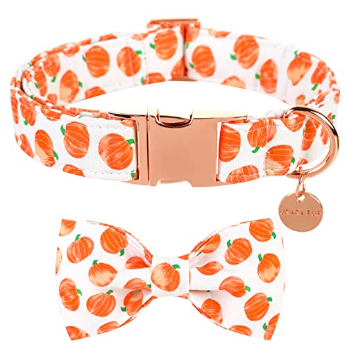 UP URARA PUP nEB ̎ lN^Ct pvL Rbg {E^CJ[ 傫ȏ̎q j̎q  H ̎ {E^C vȃ^obNtA炵pvLybgJ[AL