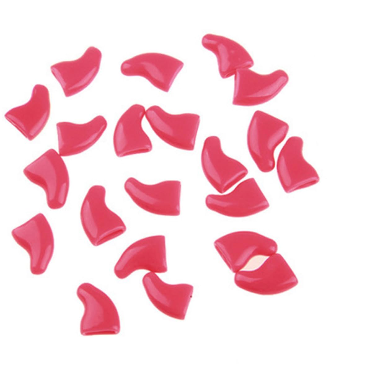 Beavorty 360 Pièces Capsules Ongles Couvre-Griffes De Chat Protège-Ongles pour Chats Casquettes Griffes De Chat Couvre-Ongles pour Chat Casquettes à Griffes Colle Animaux