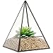 Modern Glass Pyramid Tabletop Succulent Plant Terrarium Box/Air Plant & Cacti Holder Case - MyGift®