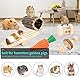 Hamsterspielzeug, Meerschweinchen, Spielzeug, Hamsterrad, Hamsterkäfig, Zubehör, Kleintiere, Backenzahn, Kauspielzeug für Chinchillas, Rennmäuse, Hasen, Versteck (12 verschiedene Kauspielzeuge)