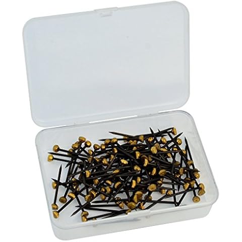 120 Pcs Brass Head Pins, Rbenxia 1 Inch Picture Pins Photo Hook Hangers Nails Hardened with Plastic Box, Black Cover
