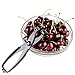 Cherry Pitter - Heavy Duty Zinc Alloy Cherry Stoner [Ion-1B] Black
