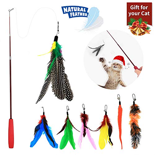 WLOT 8 pcs Jouet Chat Plume Jouet Intelligent Jouet Interactif Pen Teaser avec Un Perche Télescopique avec 7 Pointes de Rechange pour Chat Kitty
