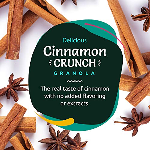 TGB Cinnamon Pecan Keto Granola | 1g Net Carb Snack | Low Carb Nut Cereal | Healthy Artisanal Food, 11 Ounces (Pack of 3) - Thumbnail 3