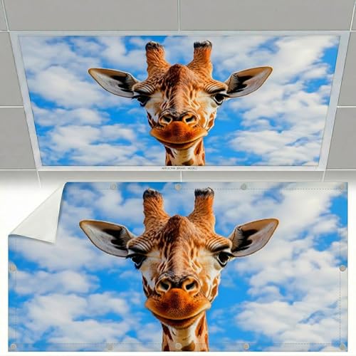 SCWISOAS Fluorescent Light Covers for Ceiling Lights -Magnetic Cloud Cover