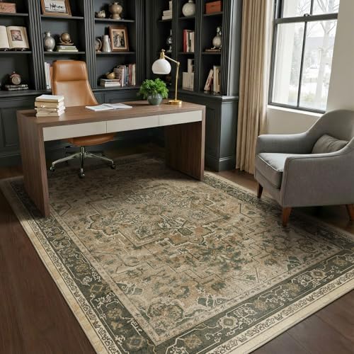 Jainmy Vintage Distressed 5x8 Area Rugs for Living Room Bedroom,