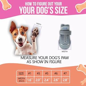 Dog Boots Breathable Shoes for Small Dogs, Anti-Slip Sole Dog Booties Waterproof Booties Paw Protector for Hot Pavement Winter Snow Size 1 Dog Boots Breathable Shoes for Small Dogs Anti Slip Sole Dog Booties Waterproof Booties Paw Protector for Hot Pavement Winter Snow Size 1