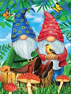 5D DIY Diamond Painting Kits, 5D Diamond Art Gnomes, DIY Paintings Kits for Adults, Diamond DIY Paint by Numbers, DIY Crystal Rhinestone Embroidery Kits for Home Wall Deco(30x40cm) (Colorful Stars)