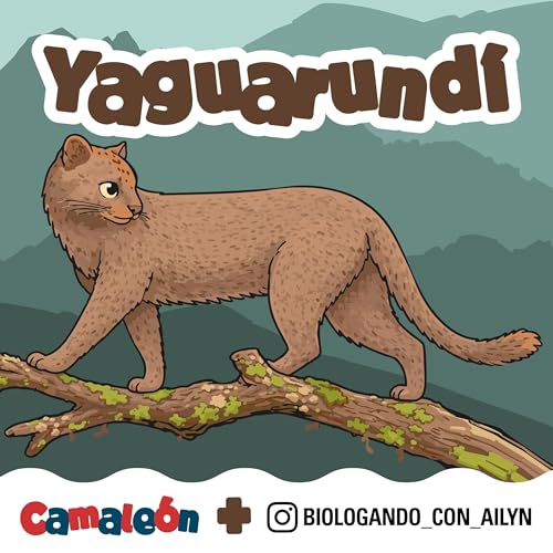 Yaguarund&iacute;: R&aacute;pido, raro y casi invisible