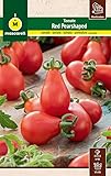 Mascarell Semillas, TOMATE RED PEARSHAPED, Semillas Huerto, Tomate Cherry Pera Rojo y Dulce, Crea tu Propio Huerto Urbano y Cultivo en Casa, 0.5 GR