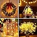 NEXVIN 2 Stück 6M 60 LED Lichterkette Batterie, Weihnachten Lichterkette Kupfer, Drahtlichterkette Warmweiß mit 8 Modus und Timer, Lichter Flasche Dekoration für Weihnachten, Party, Hochzeit