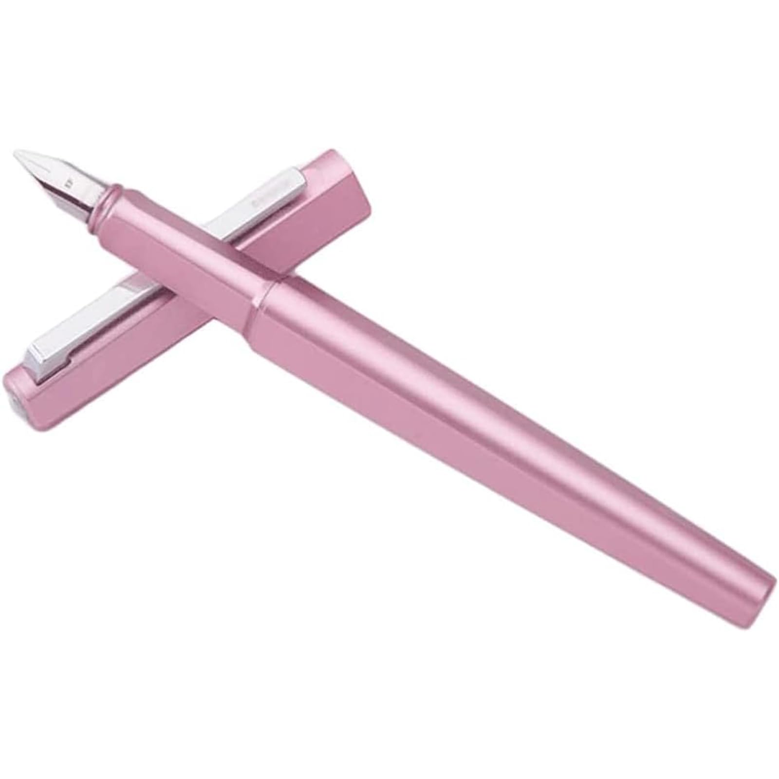 Stylo plume de calligraphie et 12 recharges d'encre pour votre journal de bord