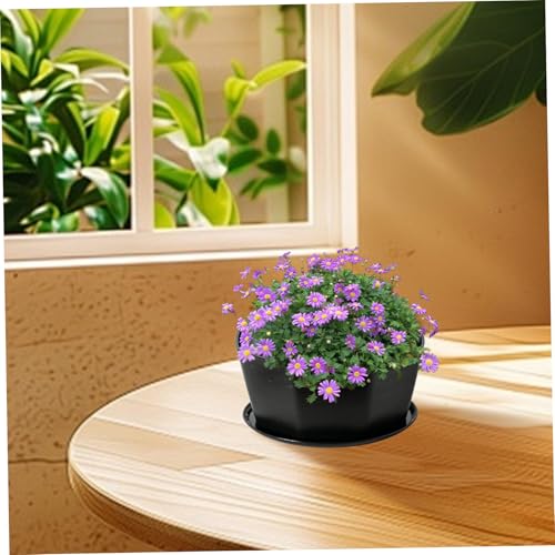 Bonsaï rond peu profond pot de fleurs plastique rigide et son plateau - 4