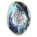 Natural Abalone (Pāua) Shell, 6-6.5 inches, Supreme for Smudging, Cleansing Home, Meditation, Shell Crafts,Incense Holder, Home Décor, 100% Natural, Sustainably Sourced by Ocean Shell Studios NZ