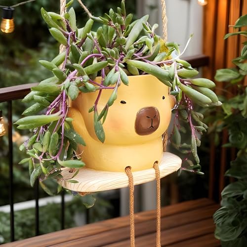 Panier suspendu en résine pour succulentes : sublimez votre terrasse ce printemps