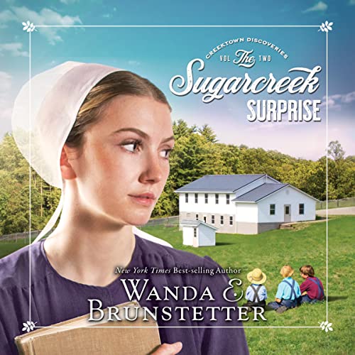 The Sugarcreek Surprise by Wanda E. Brunstetter episode artwork